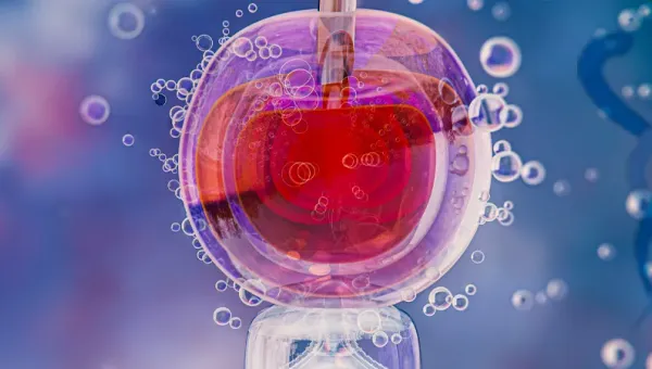 Tüp Bebek Tedavisinde Endometrium Değerlendirmesi Neden Önemlidir?